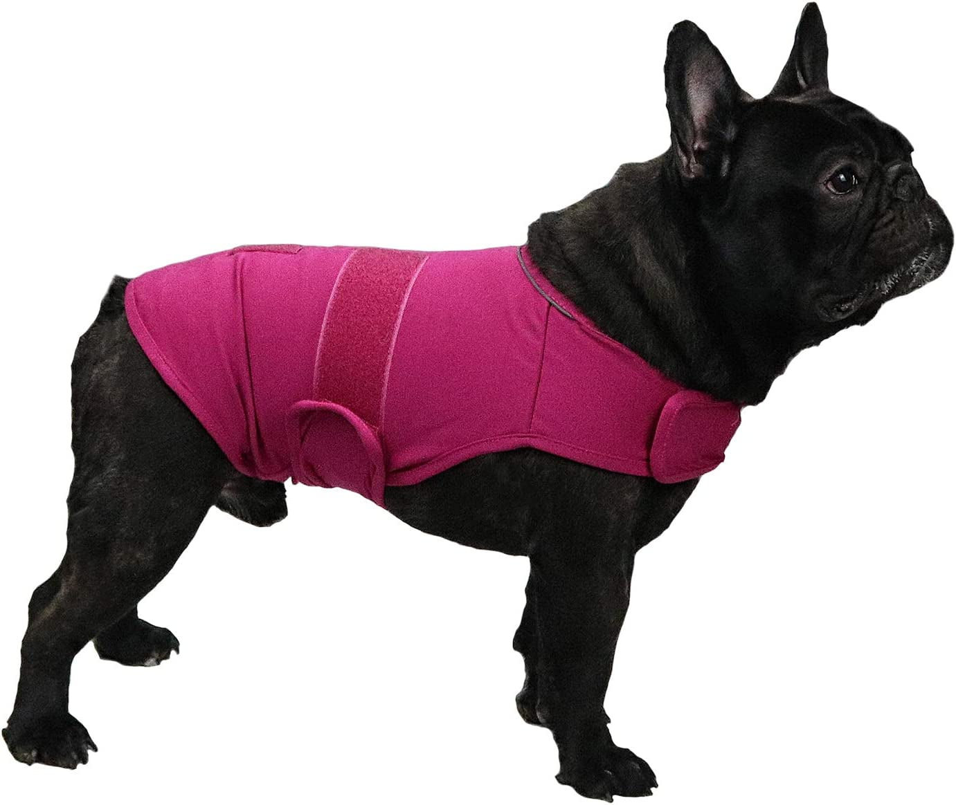 SnuggleWags rose dog anxiety relief vest calming coat