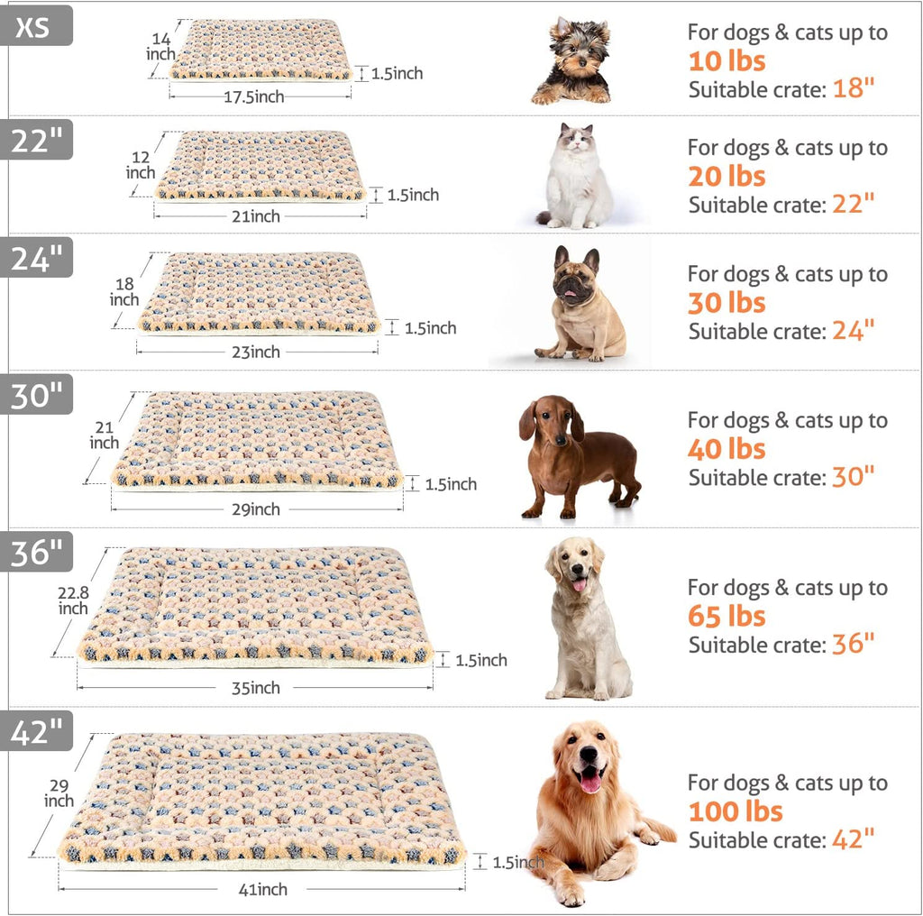 Pet bed size guide for all dog and cat breeds