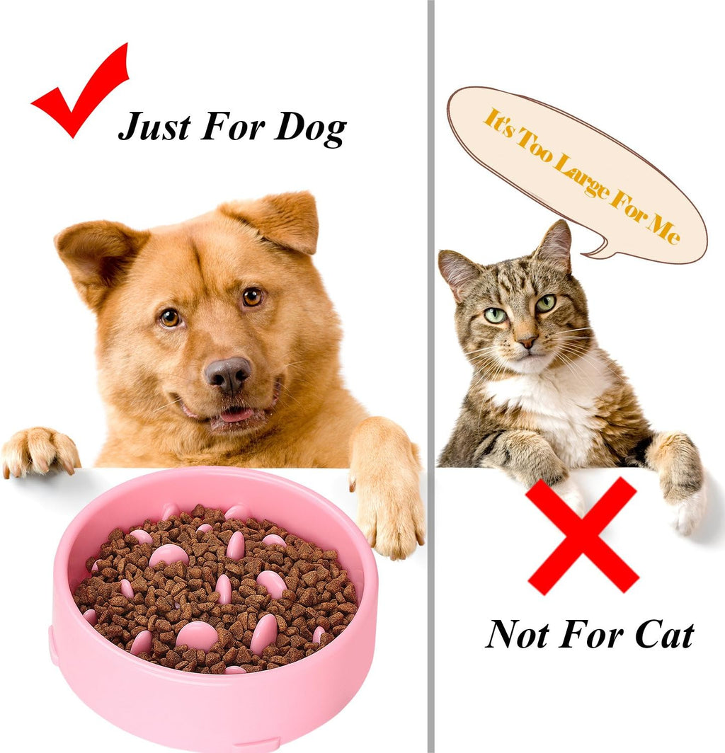 Comparison of a pink dog bowl with food labeled 'Just For Dog' and 'Not For Cat' with a cat expressing dissatisfaction.